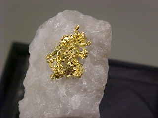 Gold in Quartz